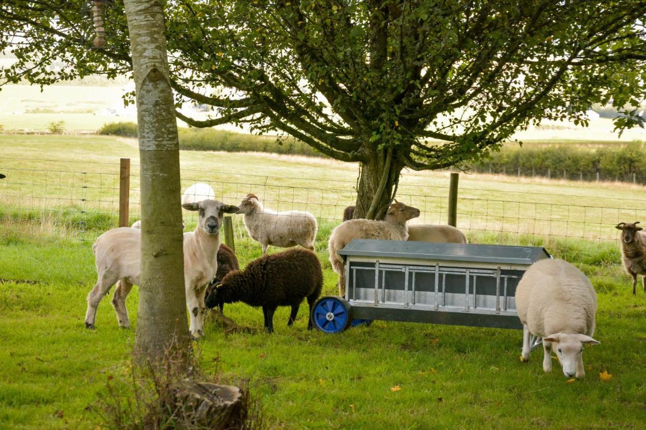 Villa The Steading At Pitmeadow Farm Dunning Esterno foto